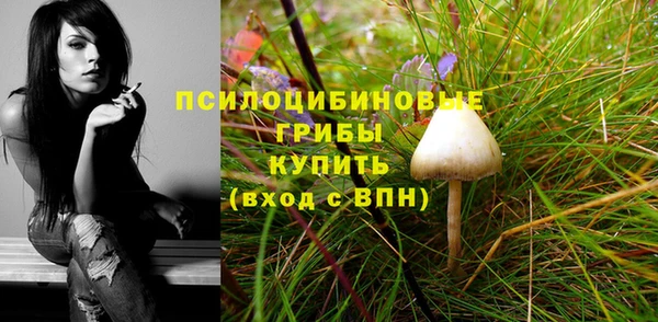 гашишное масло Михайлов