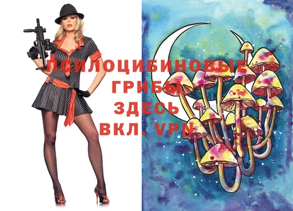 гашишное масло Михайлов